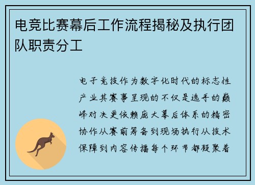 电竞比赛幕后工作流程揭秘及执行团队职责分工