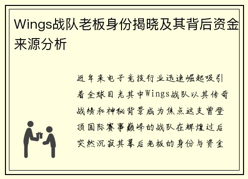 Wings战队老板身份揭晓及其背后资金来源分析